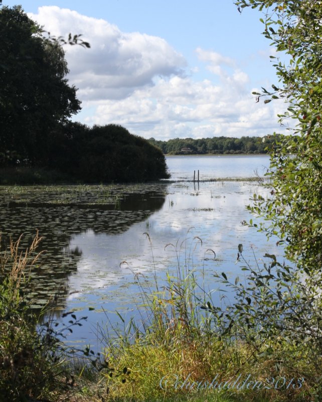 Etang des Landes