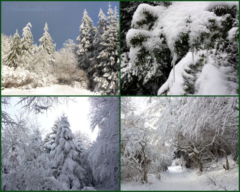 Musical Medleys #27 - Winter