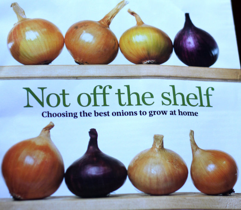 Onions - Os in October 