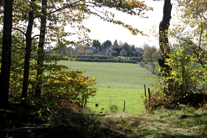 Maxs Woods