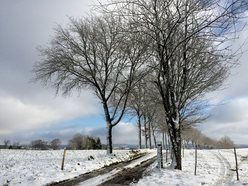 colours of winter