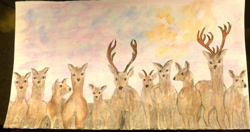 Dear deer