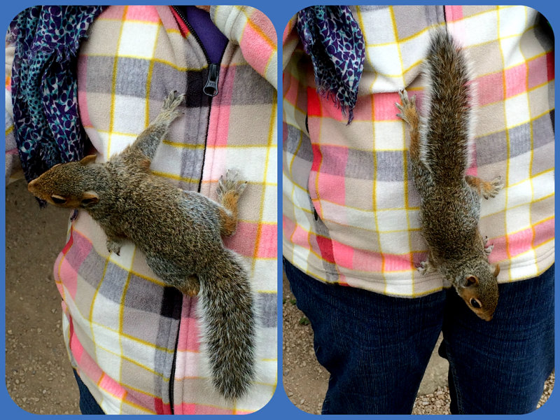 Journeying UP and DOWN - Travellingsquirrel....