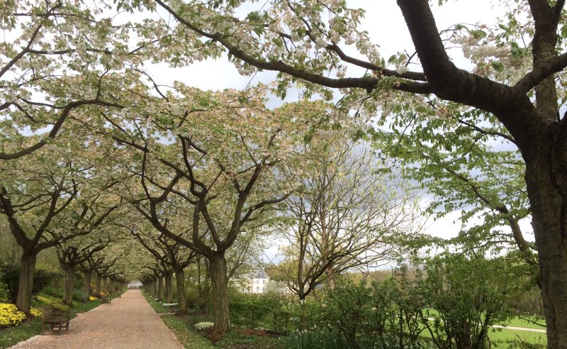 Jardins de Valloires