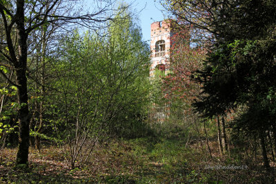 The Chateau and it's overgrown grounds