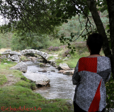 Our last stop - the bridge at Senoueix