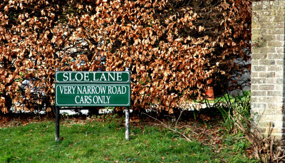 Life in the Sloe Lane
