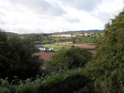 View from a window