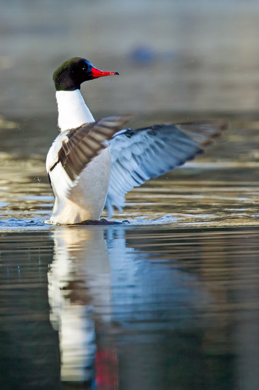 E03C4746_crop1.jpg