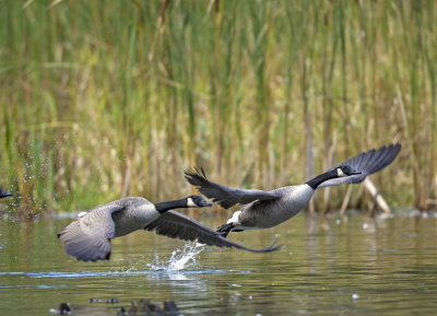 E03C9853_crop1.jpg