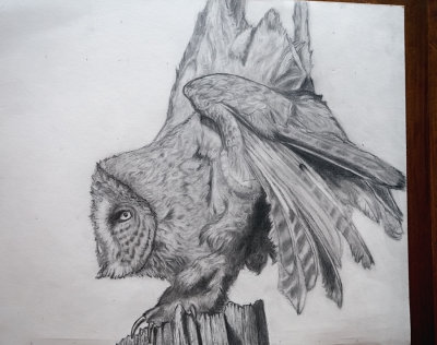 work in progress