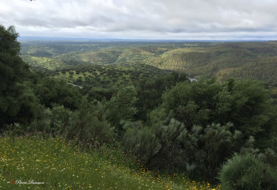 Parc national de Monfragüe