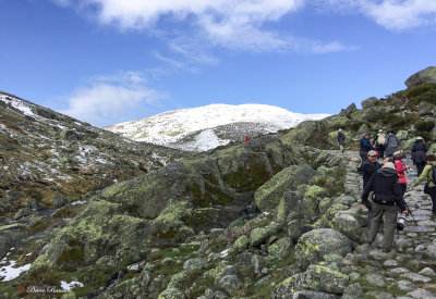 Sierra de Gredos