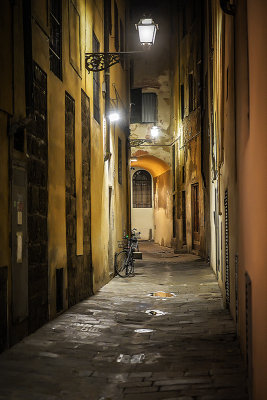 Certainly, in Italy, nobody takes light for granted. ~  Barbara Steele 