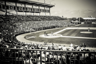 The Tampa Chronicles ~ Spring Baseball 2014