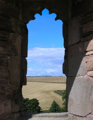 A view out