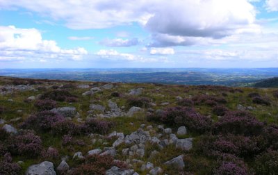 Blorenge Moorland