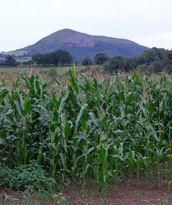 The Skirrid mountain