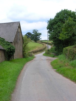 Country lane