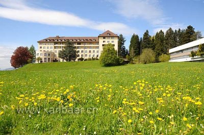 Fruehling / Spring in Menzingen (Schweiz / Switzerland)