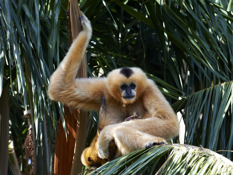 DSD_3782.jpg