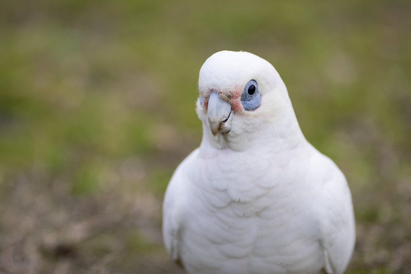 DSC_1142.jpg