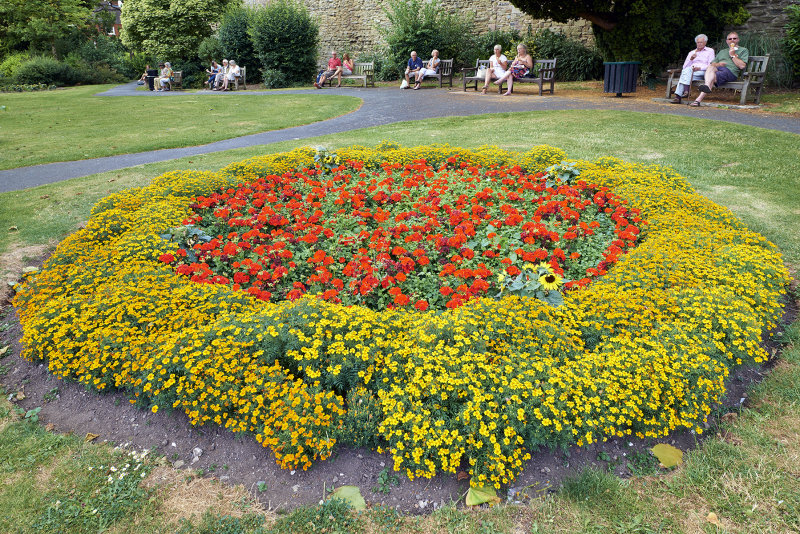 DSC_2483.jpg