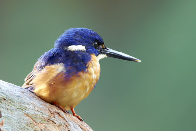 DSC_5802.jpg
