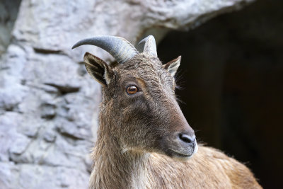 DSC_8631.jpg