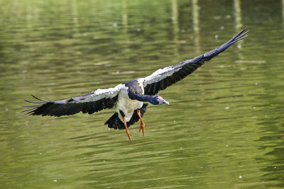 DSD_5244.jpg