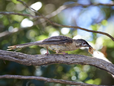 DSD_5877.jpg