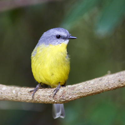 DSD_0416.jpg