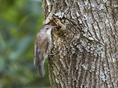 DSD_0380.jpg