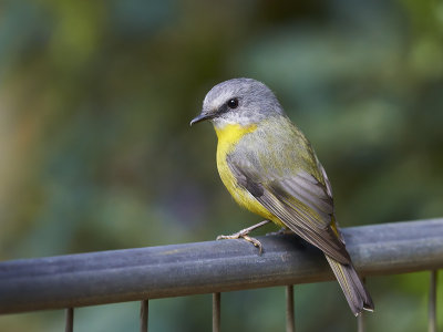 DSD_2092.jpg