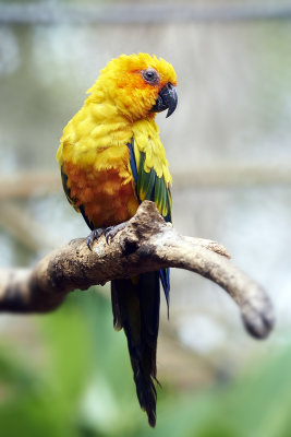 DSC_1686.jpg