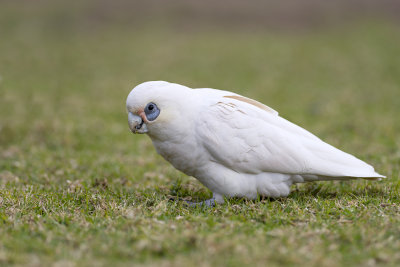 DSC_0719.jpg