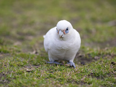 DSC_1140.jpg
