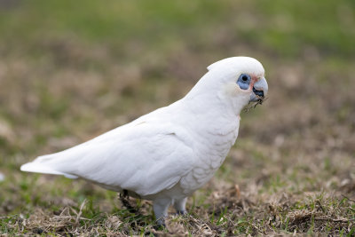 DSC_1147.jpg