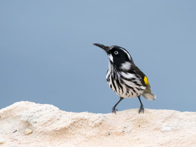 DSC_1715.jpg