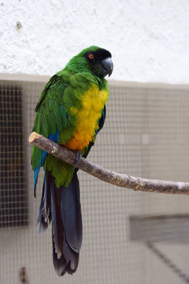 DSC_3445.jpg
