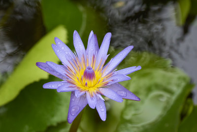 DSC_3894.jpg