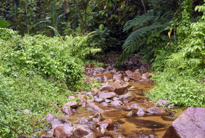 DSC_4244.jpg