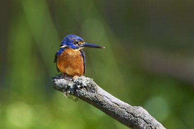 DSC_7519.jpg
