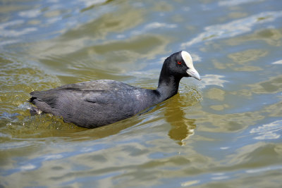 DSC_8874.jpg