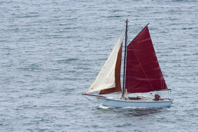 DSC_2899.jpg