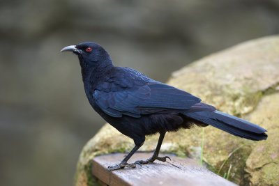 DSC_3371.jpg