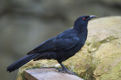 DSC_3379.jpg