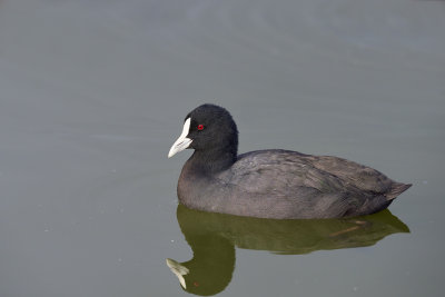 DSC_3971.jpg