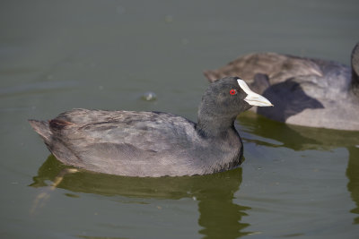 DSC_4004.jpg