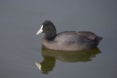 DSC_4054.jpg